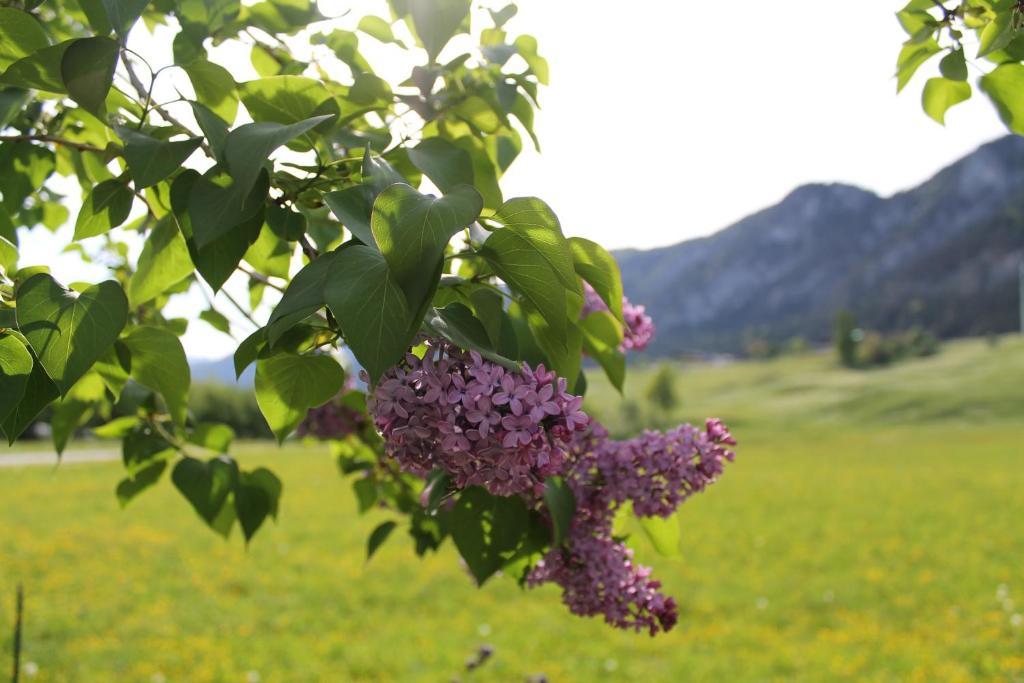 Hotel Kraftquelle Schlossblick Angerberg  Zewnętrze zdjęcie