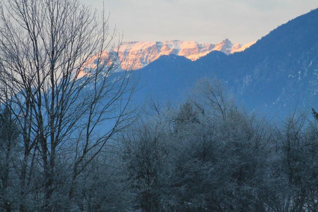 Hotel Kraftquelle Schlossblick Angerberg  Zewnętrze zdjęcie